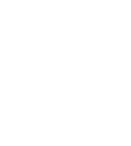Dr-Lion-Png-logo-white